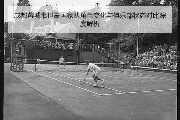 cheng-du-rong-cheng-wei-shi-hao-guo-jia-dui-jue-se-bian-hua-yu-ju-le-bu-zhuang-tai-dui-bi-shen-du-jie-xi-1-716.jpg