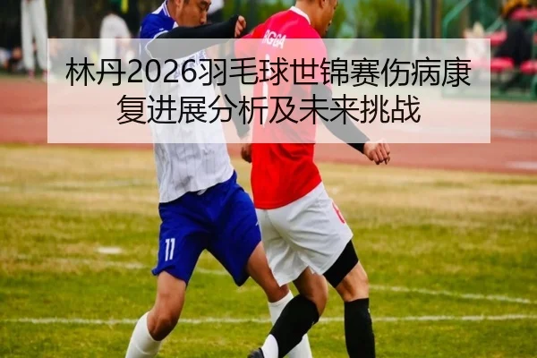 lin-dan-yu-mao-qiu-shi-jin-sai-shang-bing-kang-fu-jin-zhan-fen-xi-ji-wei-lai-tiao-zhan-2-419.jpg