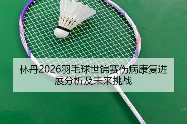 lin-dan-yu-mao-qiu-shi-jin-sai-shang-bing-kang-fu-jin-zhan-fen-xi-ji-wei-lai-tiao-zhan-1-869.jpg