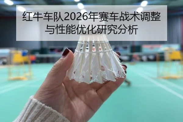 hong-niu-che-dui-nian-sai-che-zhan-shu-tiao-zheng-yu-xing-neng-you-hua-yan-jiu-fen-xi-2-926.jpg