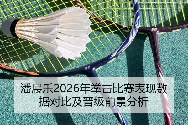 潘展乐2026年拳击比赛表现数据对比及晋级前景分析
